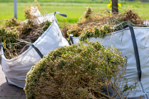 Best Professional Junk Removal  in Tuscarawas, OH
